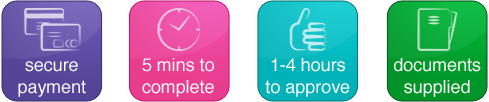 summary product information