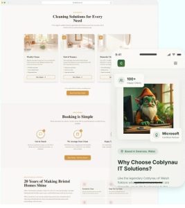 Examples of websites built by Duport, including a cleaning services site and an IT solutions site